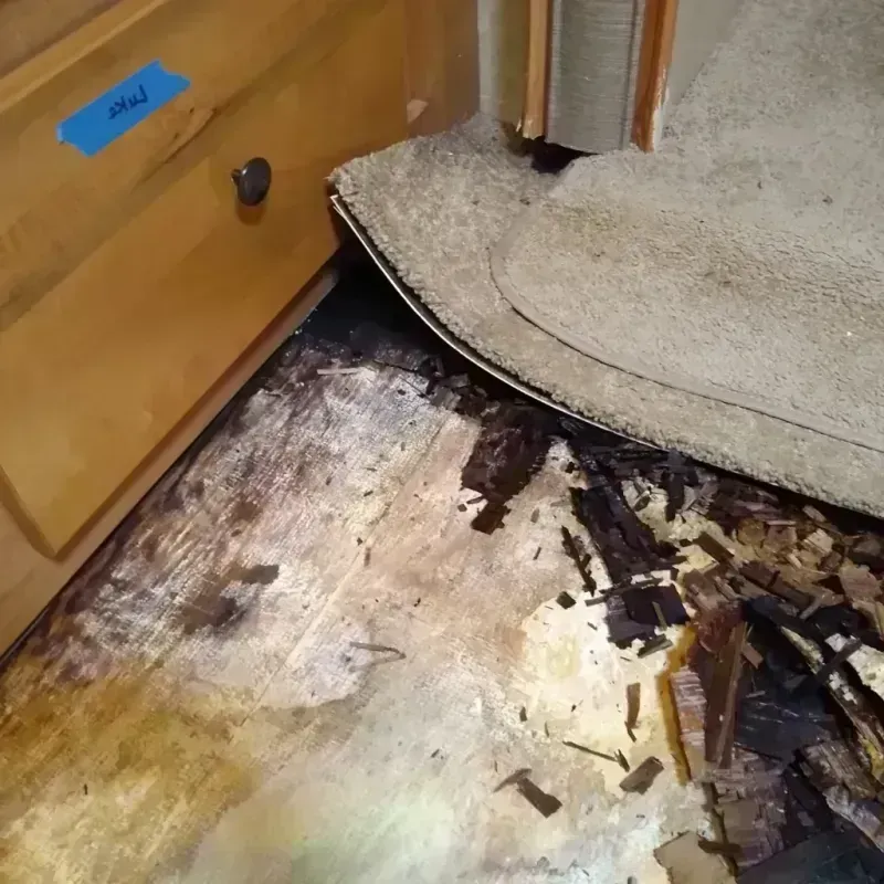 Best Wood Floor Water Damage Service in Salem, UT